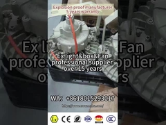 ATEX RoHS 防爆LED灯具 クリービー 180lm/watt 危険ゾーン1