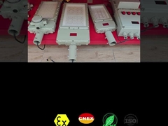 CRI Ra≥80 防爆 LED 投光器 50-300W 危険環境用