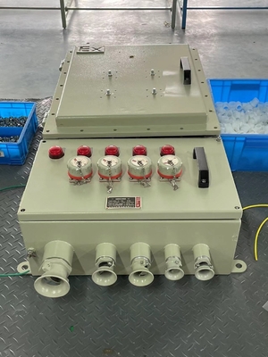 IIBT4 Exd IP65防爆制御箱の制御局のパネルの配分