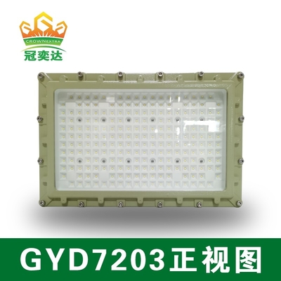AC100-277V電圧250wとIP66保護レベル 石油ガスおよび産業用エリアの防爆LED洪水灯