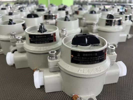 220V / 380V 爆発防止電気選択スイッチ WF2 グレーゾーン22