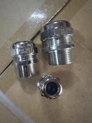 II 2G Ex Db Eb IIC T6 Gb II 2D Ex Tb IIIC T80°C Db Ex Proof Cable Gland with Single Wire Armor and ROHS Certification