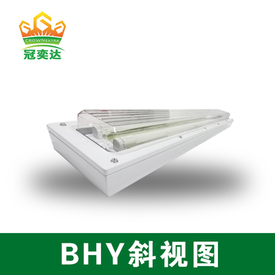 Ex d e IIC T6 防爆 LED ライト IP66 危険場所向け