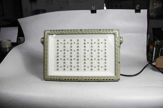 100W 防爆 LED 投光器 IP65 屋外作業灯 アルミニウムハウジング付き