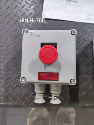 中国製 ATEX 220V/380V BLK IP65 防爆隔離スイッチ 壁掛けに適しています
