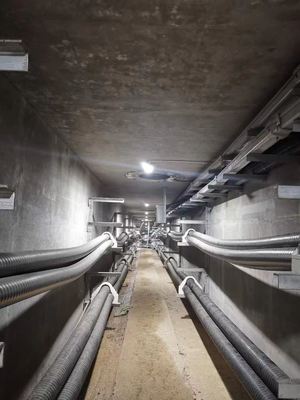 Status Code 403 Explosion Proof Fluorescent Light Safe and Durable for Industrial Applications