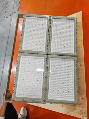 800W 4モジュール 爆発防止 LED 洪水照明 肥料プロジェクト用 ATEX/IECEx