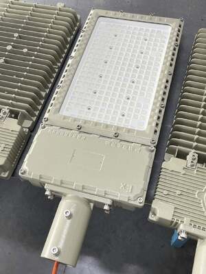 300W 防爆 LED 街路灯 6000K 11500ルーメン IK10 IP66 WF2 ATEX認証付き