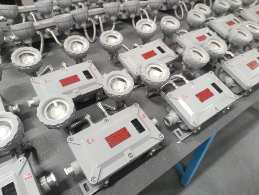 ATEX×CNEX 220VAC 50Hz CCT 4500-6500K パーソナライズ可能な防爆非常用灯