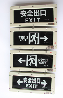 100LM/W LED 防爆緊急用灯 220V 防爆安全用灯 危険環境用
