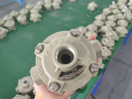 ケーブル仕様 9mm 13mm 防爆スイッチ 海洋グレードアルミニウム 10A 電流 産業用制御スイッチ 危険区域用