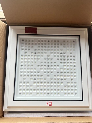 防水 Ip66 危険場所 LED フローライト 長寿命 500000 時間