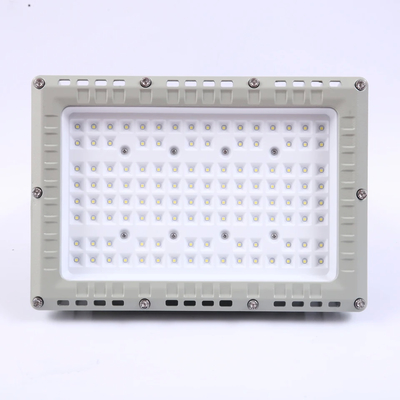13kg IP66 LED 防爆防洪灯 ゾーン 1 2 21 22