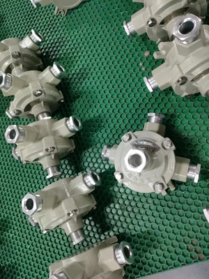 パーソナライズできるIP65 防爆接続ボックス G1/2&quot; G3/4&quot; G1&quot; G1 1/4 G1 1/2&quot; G2&quot;