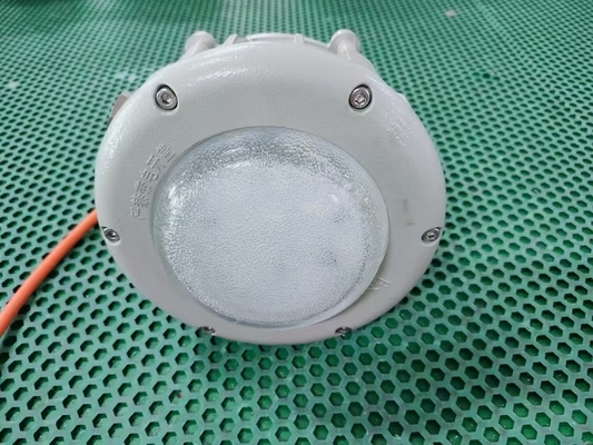 防爆高湾照明 GYD6102 ゾーン1/2&amp;21/22GYD6102 100W 120lm/W 100-240VAC 50-60Hz 24/36VDC Ra≥80