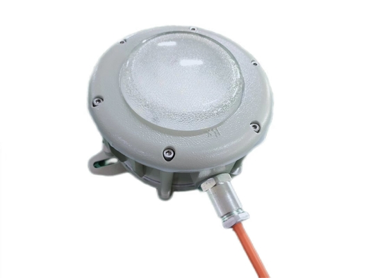 防爆高湾照明 GYD6102 ゾーン1/2&amp;21/22GYD6102 100W 120lm/W 100-240VAC 50-60Hz 24/36VDC Ra≥80