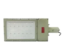 50W Ex Proof LED 防水 LED ライト 明るさと様々なマウントオプション