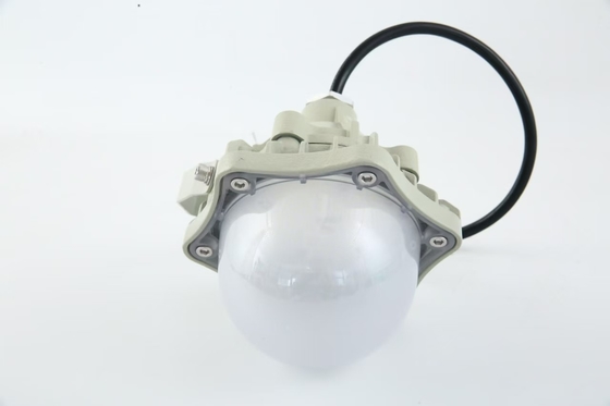 100W 防爆高海湾ライト AC220V 50/60Hz IP66 70±2CRI 新しいデザイン ベストセラー 製品 価格 ワークショップ