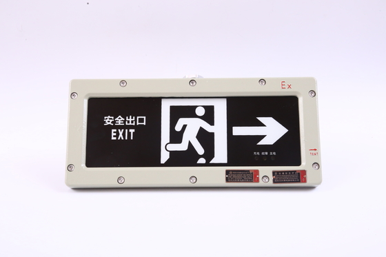 BYY-3w-IP65 防火緊急ライト 120分 LED 220VAC 24/36VDC 3000/4000/5000/5700K