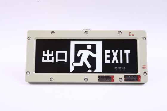 BYY-3w-IP65 防火緊急ライト 120分 LED 220VAC 24/36VDC 3000/4000/5000/5700K