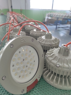 200W IP66 防爆 高海湾 天井/壁/フレンズマウント