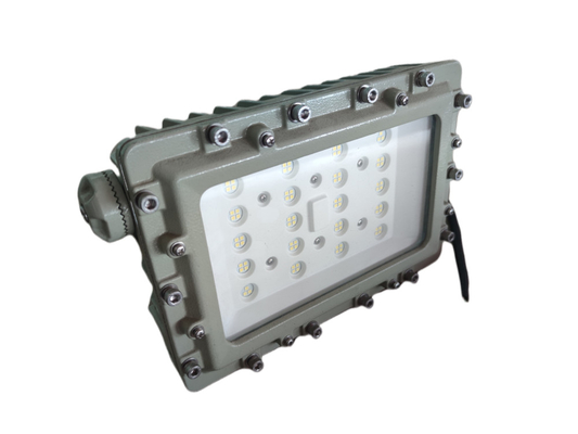 DIV 1 ATEX 級 防爆産業用LED照明装置 100~250W 160lm/w