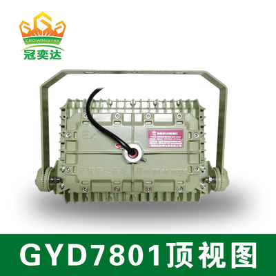 ATEX 防爆LED 防洪灯 50000hrs 寿命 IP66 WF2 保護 IECEx 認定