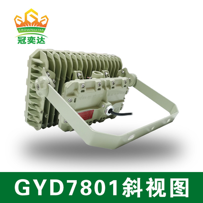ATEX 防爆LED 防洪灯 50000hrs 寿命 IP66 WF2 保護 IECEx 認定