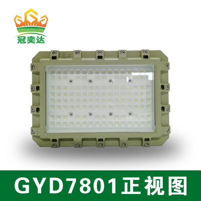 ATEX 防爆LED 防洪灯 50000hrs 寿命 IP66 WF2 保護 IECEx 認定