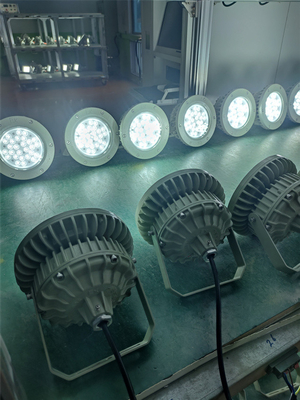 エクスプローフ 高湾灯 180lm/w ATEX 耐腐蝕 IP66 LED 屋外天井灯 50W-250W