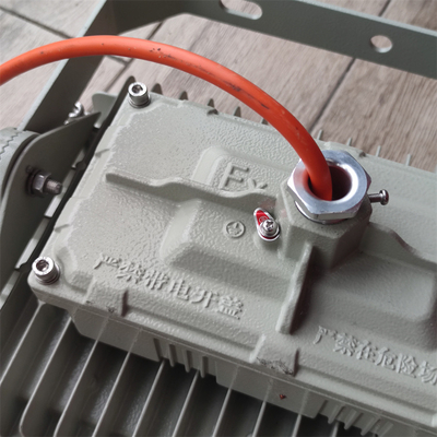 EX 炎不滅のLED 洪水照明 荒い環境のためのMEANWELLドライブ 170lm/watt 295V