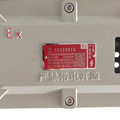 危険ゾーン 1 産業用爆発防止灯具 IP66 WF2 5 ワット 90-180分