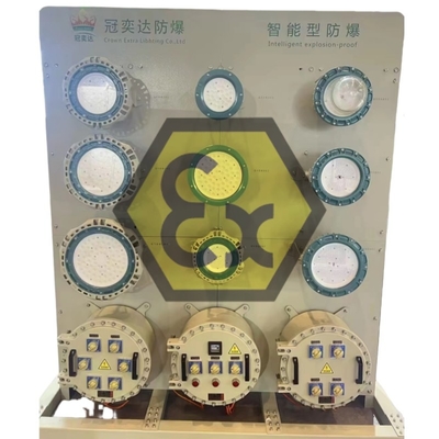 ATEX 防爆照明電源配送パネル IP66 防腐 危険な海上・離岸地域 1
