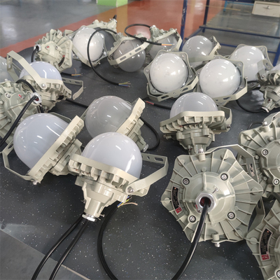 爆発プラットフォーム ATEX IP66 保護付き LED ライト 装置 OEM サーバー 100lm/w