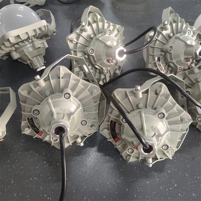 爆発プラットフォーム ATEX IP66 保護付き LED ライト 装置 OEM サーバー 100lm/w