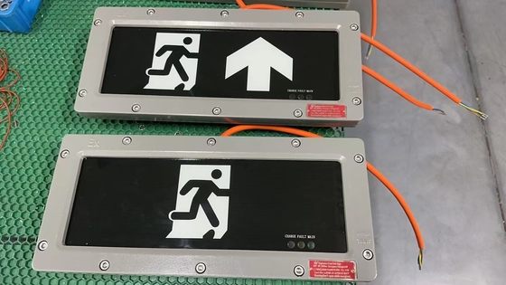 高電圧防爆非常口灯 | OEM非常用標識灯 90-300VAC/24VDC/36VDC | ATEX IECEx 認証