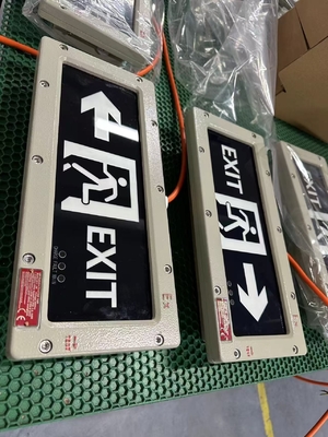高電圧防爆非常口灯 | OEM非常用標識灯 90-300VAC/24VDC/36VDC | ATEX IECEx 認証