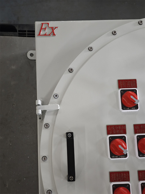220V ATEX 防爆照明 配電パネル 防腐 壁掛け箱 パネル 防爆 可変