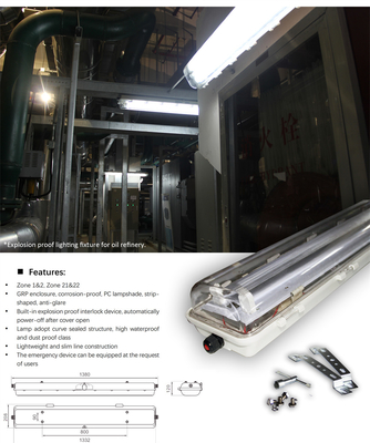ATEX/IECEx対応 IP66 防爆蛍光灯 | 天井、壁、ペンダント設置対応 危険場所向け