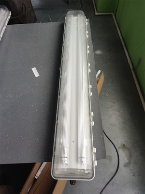 2*54W 防爆?? 光灯 ATEX IECEx 認定 防水 WF2 100lm/w 照明効率 天井設置 ゾーン21 22 1 2