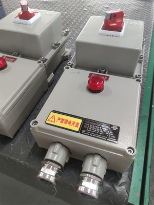 ATEX 防爆 断熱箱 IP66 防腐 航空宇宙級 アルミ 壁掛け用 EX D E 海洋ガス 石油化学環境用