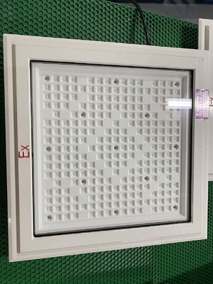 爆発防止LED 防災灯 ランプのビースト CREE と 50-240Watt カテゴリー