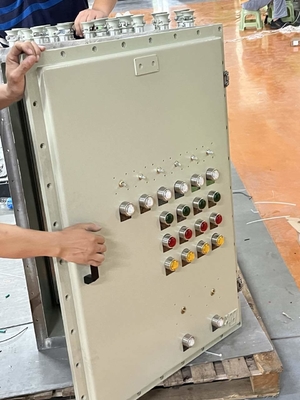 ATEX CNEX CXM シリーズ 防爆型照明配電盤 Ex D IIC IP66 アルミニウム製 危険場所向け