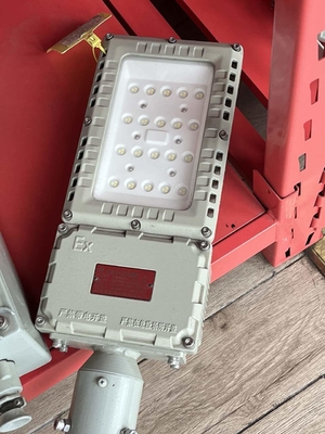 防爆型投光街路灯 ATEX 50w 250w IP66 屋外用 海洋およびオフショア向け