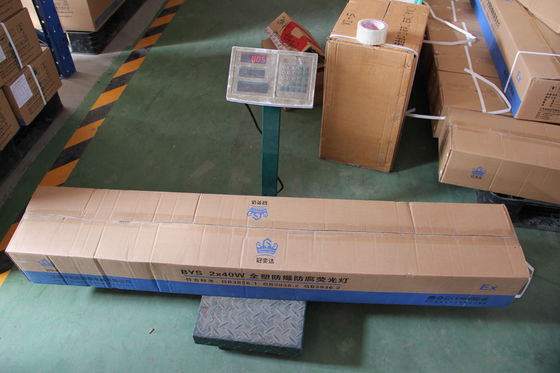 危険な地域 石油・ガス 化学工場 鉱山 海洋施設 防爆 線形LEDライト 産業用品 IP66 照明 効率的な設計 耐久性0.6/1.2m ATEX/IECEx/CNEX