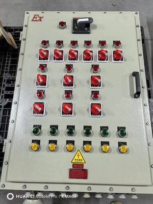 IP65 防爆パネル ボックス 粉末塗装 完成 アルミ ≤225A 電圧 防爆パネル
