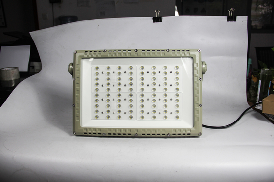 防爆LED道路灯 250W | ATEX CNEX 認証 Zone 1 Zone 2 危険場所向け