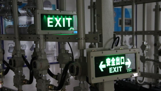 高品質のアテックス 防爆 緊急出口信号 警告灯 調整可能なパターン 防爆 ゾーン2の出口信号灯
