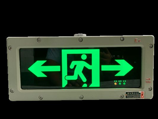 壁掛け型3W 120/180分 非常口灯 カスタムカラー LEDインジケーター 表面はZone 1およびZone 2向けにカスタマイズ可能