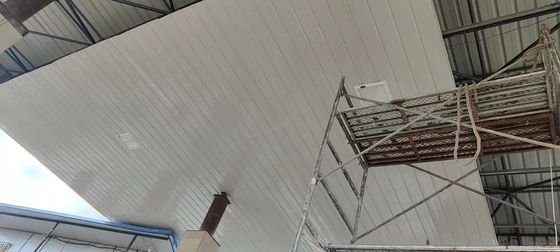 50~60Hz 定電圧 爆発 防護 LED 防災 CE 認証 工業用用 100~250W 電力